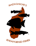 Madagascar's Camping logo